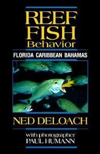 Reef Fish Behavior Florida Caribbean Bahamas by Ned DeLoach 1999 