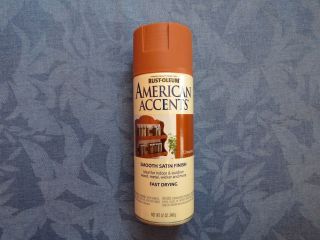American Accents Paint by Rust Oleum 4 Colors To Choose From, 12 oz 