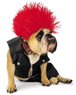 zelda punk rock dog pet biker halloween costume m one