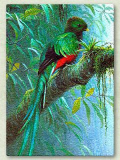 12x8 Bird Parrot Tempered Glass Art Tile_GUATEMALA QUETZAL_Craft 