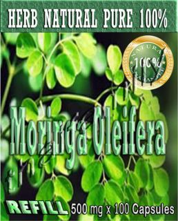 100 Capsules x 500mg (Refill) Moringa Oleifera Herbs Pure 100% FREE 