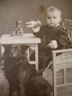Precious CHILD w TOYS and Obidient SPITZ DOG old Cabinet Photo c1900