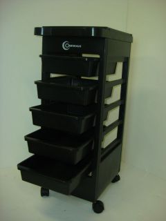 NEW Salon SPA Trolley Storage Cart Coloring Beauty Rollabout Hair Dry 