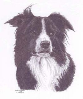 BORDER COLLIE 2 Sheepdog dog drawing art Limited Edition picture print 