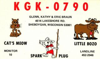 vintage CB radio QSL postcard cat bull fishing comic Braun 1970s 