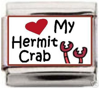 LOVE MY HERMIT CRAB 9 MM ITALIAN CHARM PET CRABS CHARMS