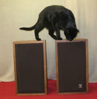 dynaco lms speakers rare variant of the a 25 exc