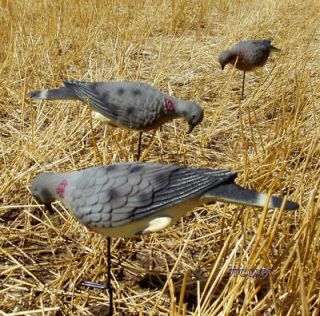 EDGE BY EXPEDITE FOURPACK O FEE​DERS DOVE DECOYS 4 NEW
