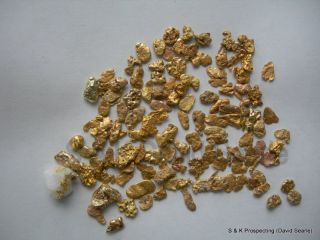 lbs montana gold nugget panning paydirt dust placer time