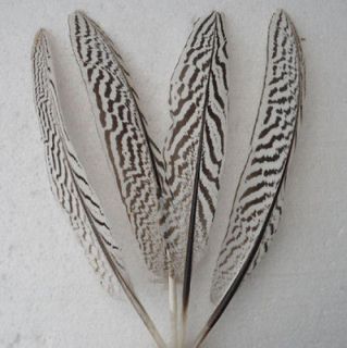 new natural undyed pheasant wings feathers 8 10inch 10pcs from