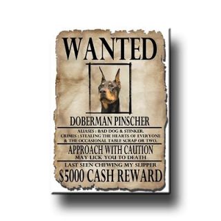 doberman pinscher wanted poster fridge magnet no 2 dog time
