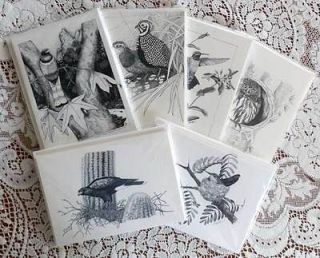   Original Art Blank Note Cards Quail Hummingbird Owl West Wildlife