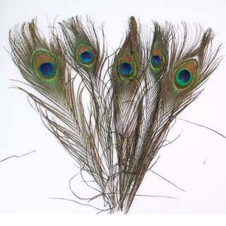 100pcs peacock tail feathers craft supplies 13 33 long from