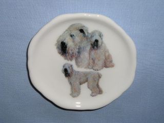 soft coated wheaton terrier dog magnet porcelain 27 3 time