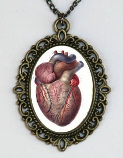 Anatomical Heart vintage Victorian Medical necklace punk Horror Goth 
