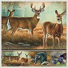 hunting outdoors wall border wallpaper decor wildlife  13 