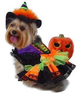 Puppe Love/PamPet USA Halloween Witch Pet Costumes for Dogs
