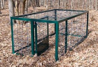steel cage hog trap with closed top 