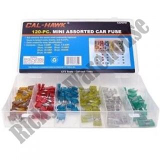 120 pc Mini Assorted Car Fuse Auto & Trucks Color Coded Fuse 