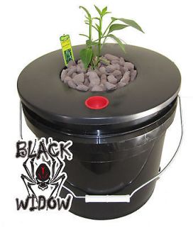 Hydroponic Single Site Top Fed Recirculating DWC Grow System