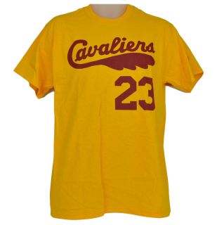 NBA Licensed Cleveland Cavaliers Lebron James 23 T Shirt Tee Yellow 