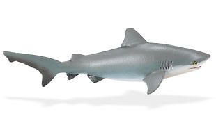 bull shark new 2011 ships free w $ 25 safari