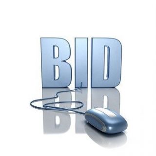 Online Auction Website BUSINESS PLAN + MARKETING PLAN 2 PLANS