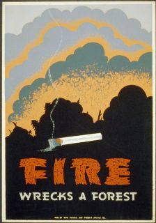 MAGNET Vintage Poster Magnet FIRE Wrecks Forest Public Service