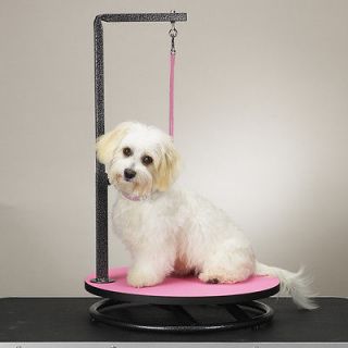 master equipment small dog pet grooming table top pink time