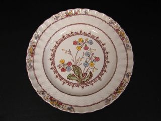 dinner plate in the cowslip pattern by spode china one