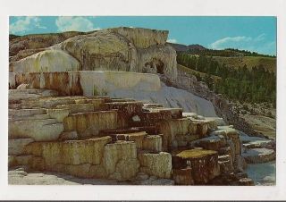 Vintage Minerva Terrace, Yellowstone National Park postcard