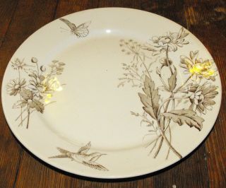 Antique T. & R. Boote Daisy Pattern Royal Premium Dinner Plate