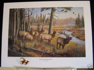 Return to Chequamegon Elk Terry Doughty Wildlife Art Remarque AP