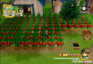 Harvest Moon Tree of Tranquility Wii, 2008
