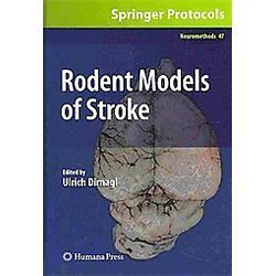 new rodent models of stroke dirnagl ulrich edt time left