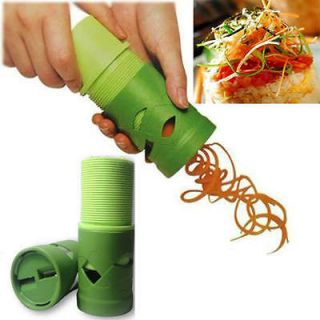 1x Vegetable Fruit Twister Cutter Slicer Processing Kitchen Tool 