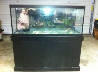 Used 75 Gallon Aquarium Tank Stand Good Condition