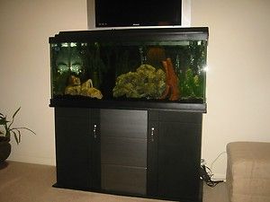 75 GALLON FISH TANK AQUARIUM STAND 3 CANISTER FILTERS AND ACCESORIES