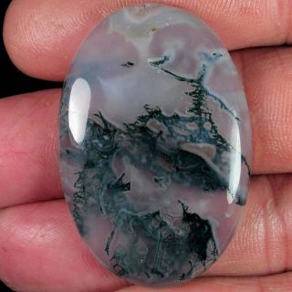 63.75Cts. 100% NATURAL DESIGNER MOSS OPAL OVAL CABOCHON AFRICA 