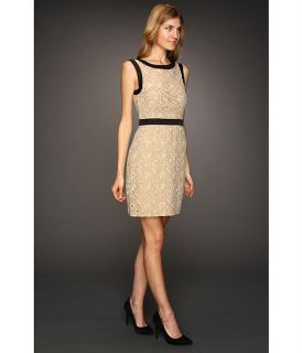 Max and Cleo Maddy Scalloped Lace Dress    