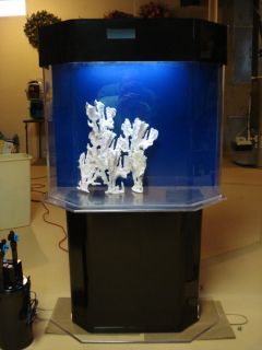 Acrylic Aquarium 45 gallon Hexagonal with light, Canopy ,stand and 