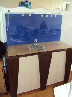 90 Gallons Acrylic Aquarium Nice Modern Stand