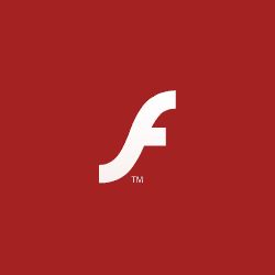 The Samsung Galaxy P1000 have the latest Adobe Flash Player 10.1, The 