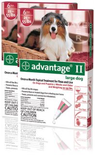 Advantage II Flea Treatment for Dogs 21 55 lbs 12PKG  