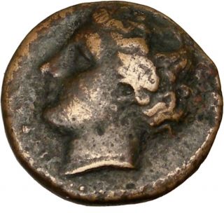 Sicily Syracuse Agathocles 317BC Ancient Greek Coinrare