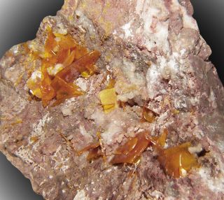 Orangetabular Wulfenite Crystals to 4 Los Lamentos