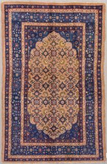 5x8 Antique 1900 Agra Oriental Hand Knotted Wool Area Rug Carpet 