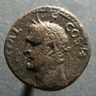 Agrippa Æ as Struck Under Caligula