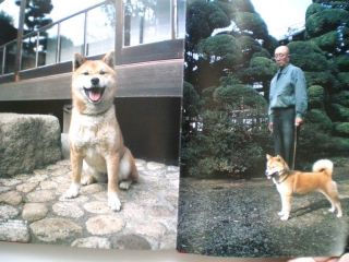   SHIPPING Japanese Dogs PhotoBook Akita Shiba inu Kishu Kai Other Inu