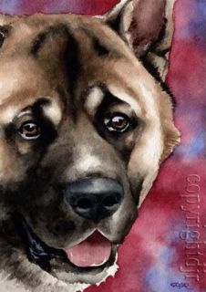 akita art note cards by artist david j rogers from an original 